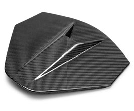 Anderson Composites Rear Decklid Housing Cover for Rear Camera (Carbon Fiber) for Chevrolet Corvette C8